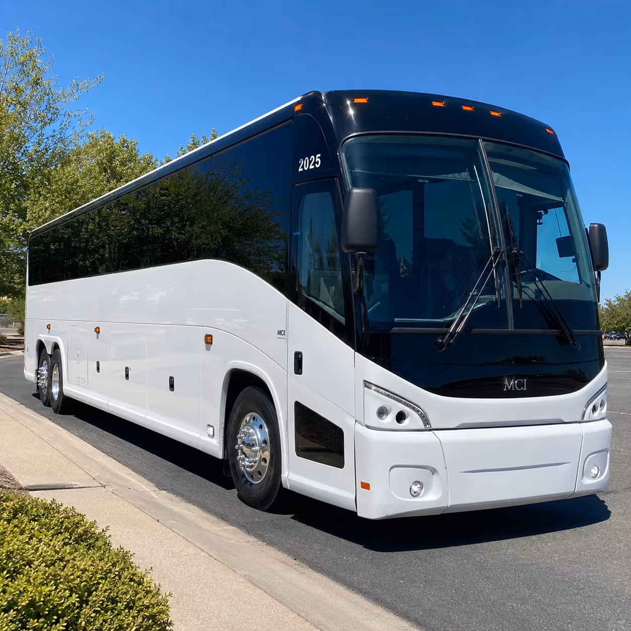 bus rentals for new braunfels vacation bible school and children s ministry groups