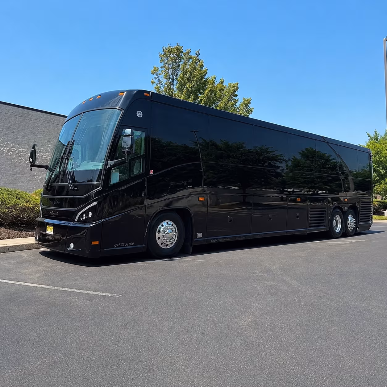 charter buses from new braunfels to austin for concerts games and events