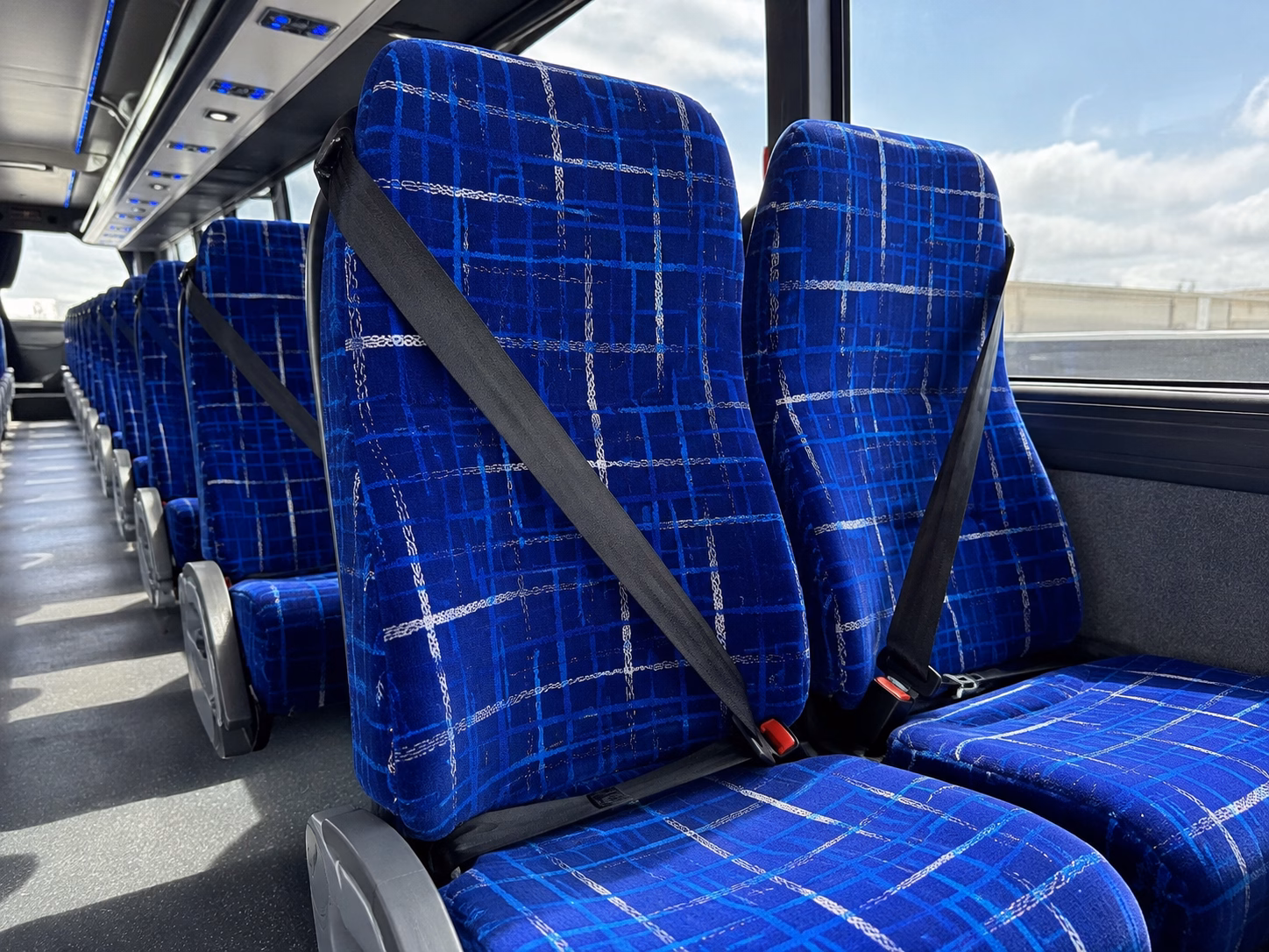 new braunfels wine tour brewery transportation onboard